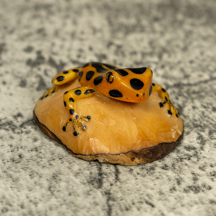 Vintage Black And Gold Poison Dart Frog Tagua Carving