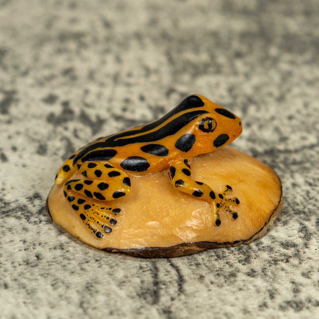 Vintage Black And Gold Poison Dart Frog Tagua Carving