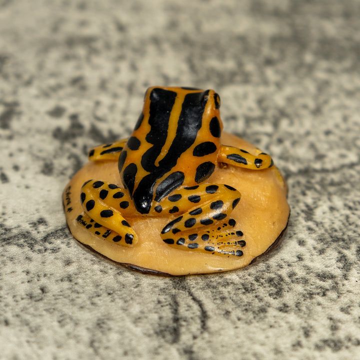 Vintage Black And Gold Poison Dart Frog Tagua Carving