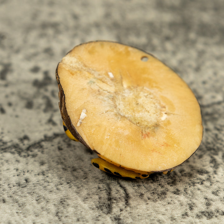 Vintage Black And Gold Poison Dart Frog Tagua Carving