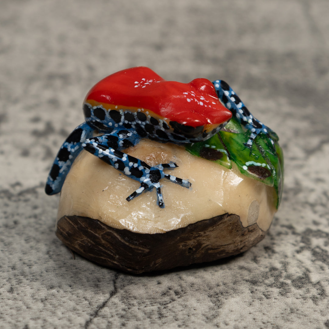 Red And Blue Poison Dart Frog Tagua Carving