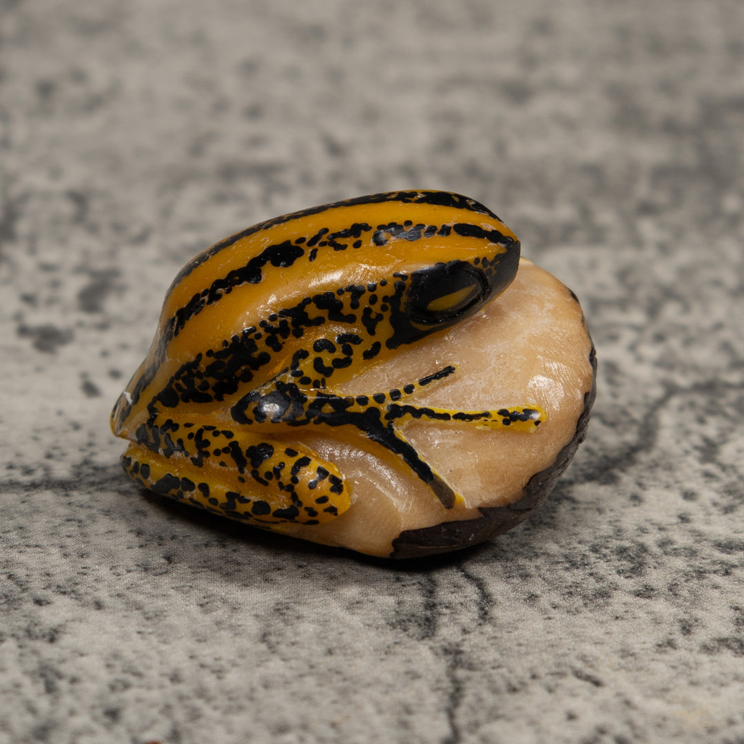 Vintage Yellow And Black Frog Tagua Carving