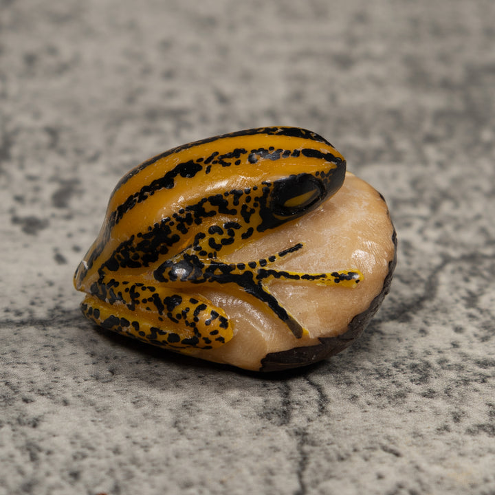 Vintage Yellow And Black Frog Tagua Carving