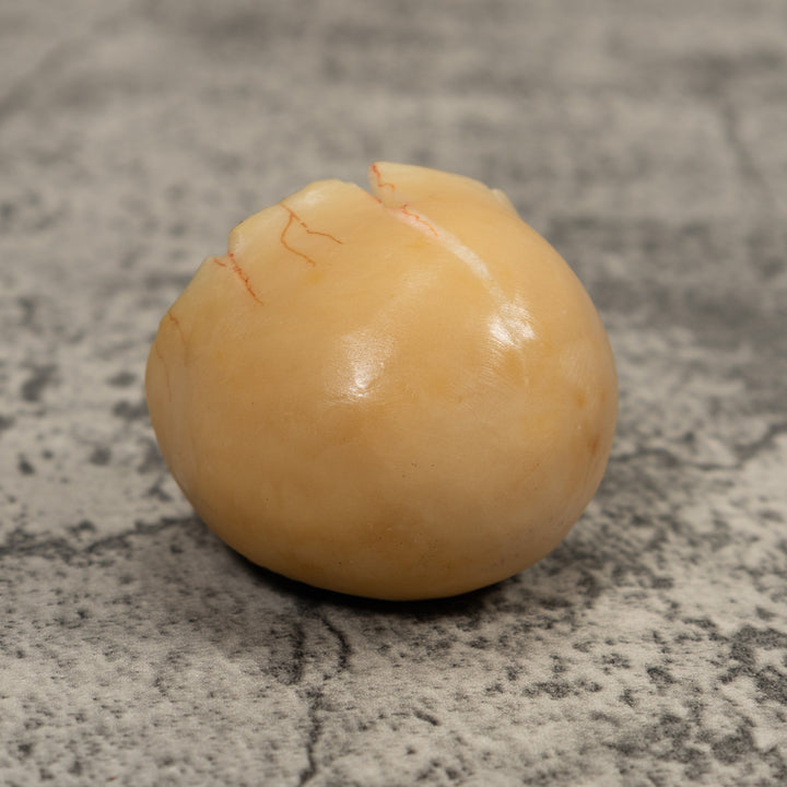 Tortise And Egg Tagua Carving