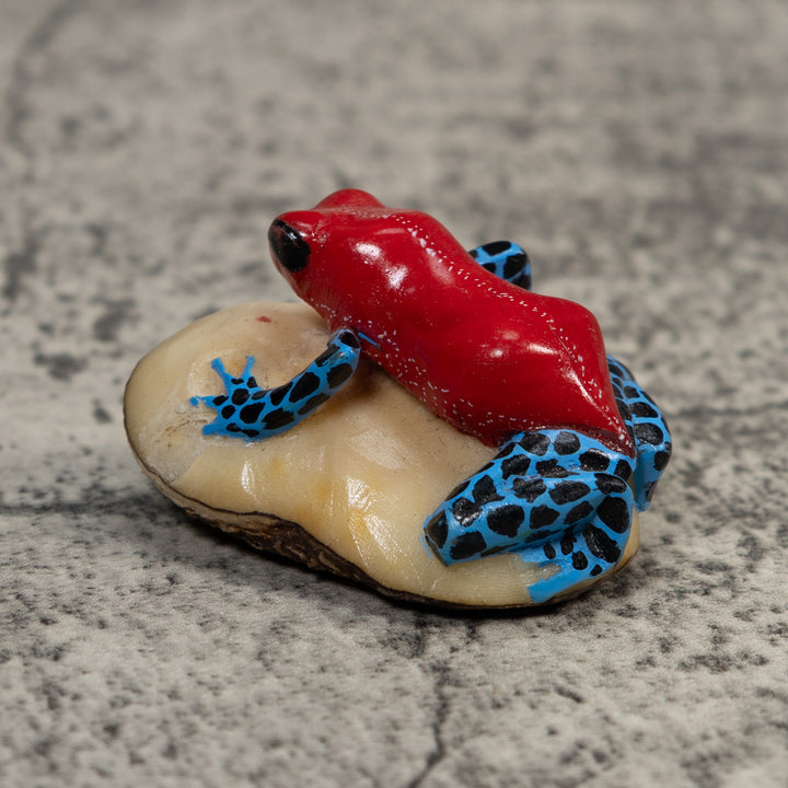 Red Blue And Black Poison Dart Frog Tagua Carving