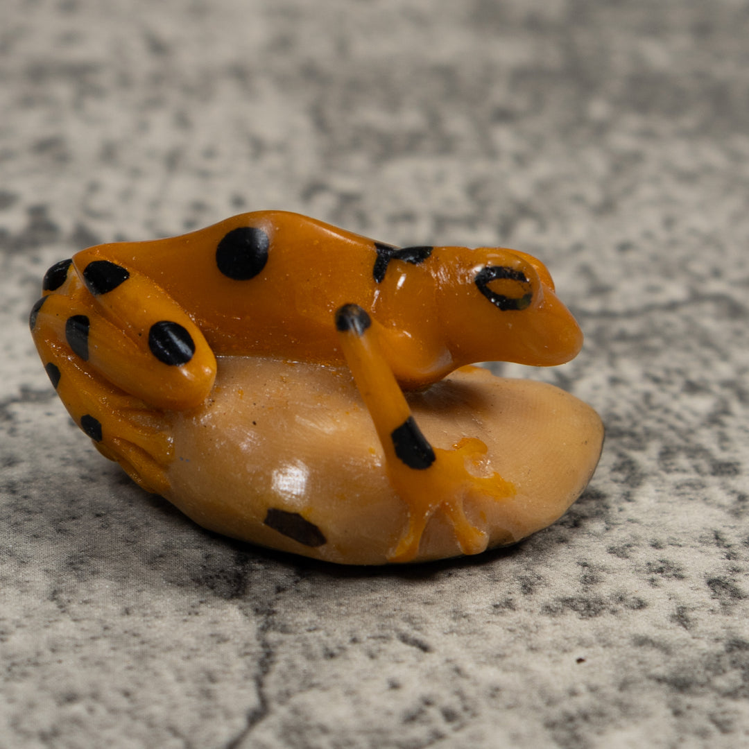 Vintage Golden Frog Tagua Carving