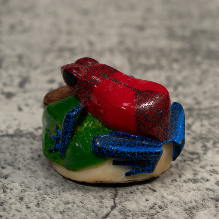 Red And Blue Poison Dart Frog Tagua Carving