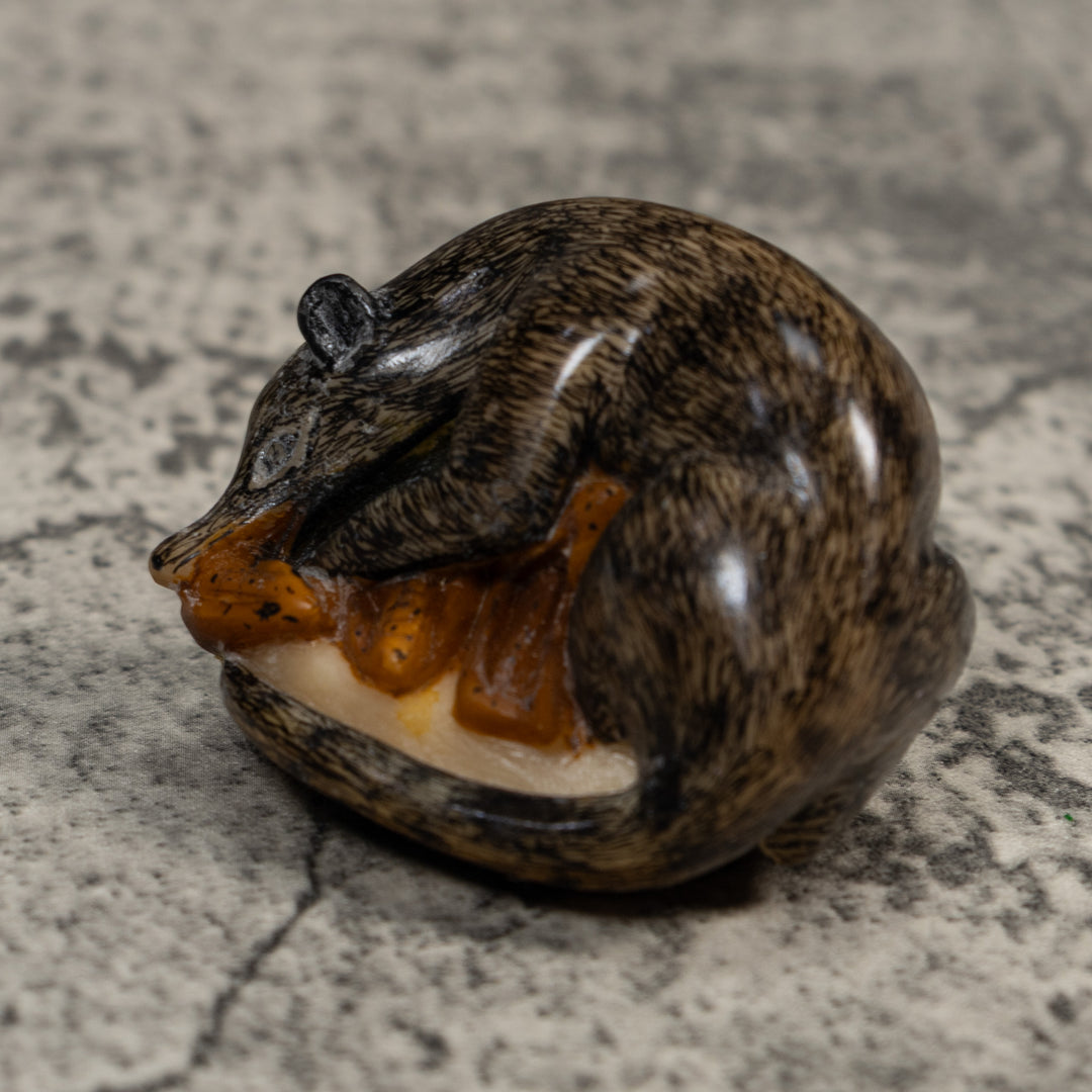 Vintage Black And Brown Coatimundi Tagua Carving