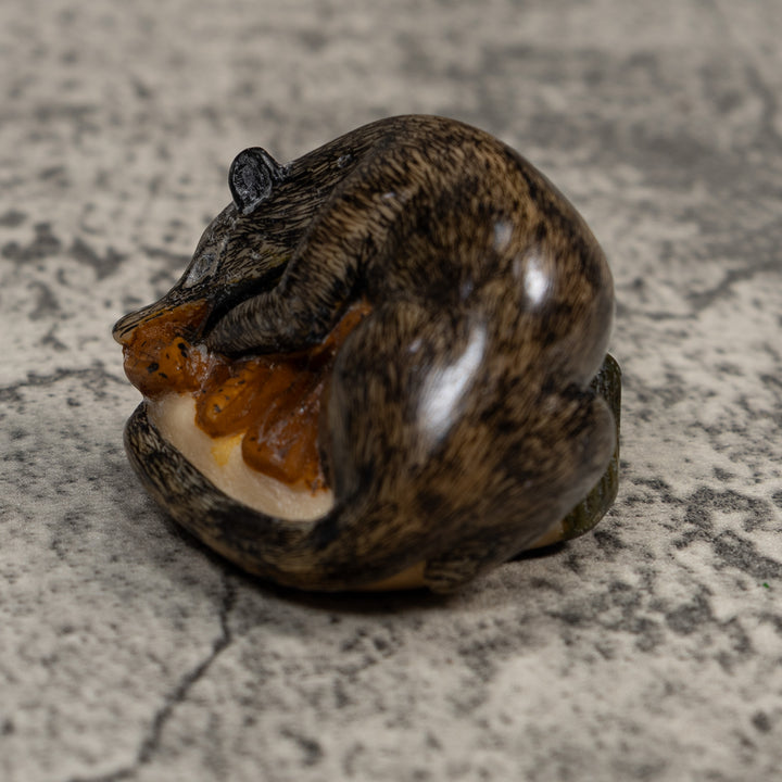 Vintage Black And Brown Coatimundi Tagua Carving