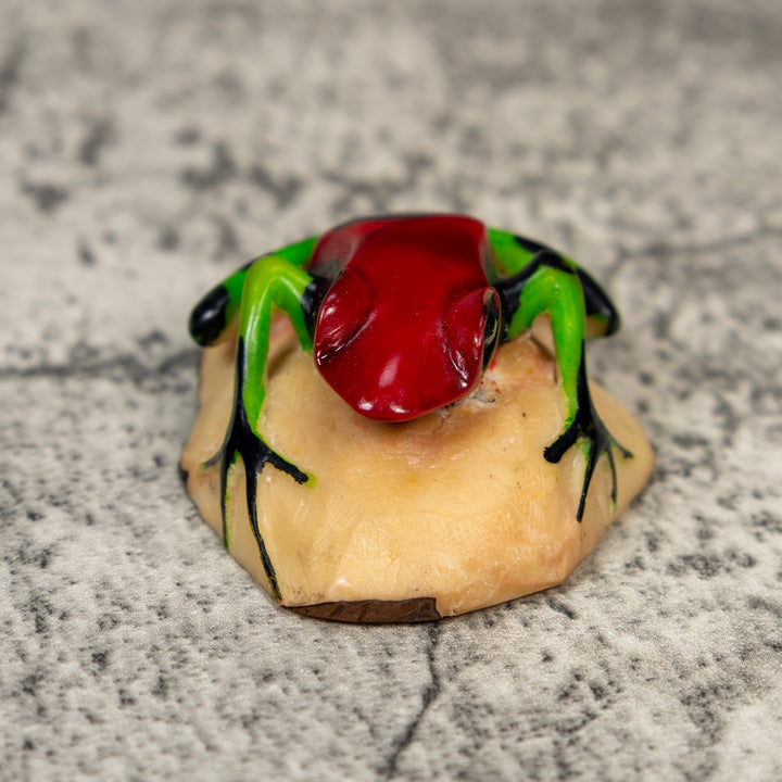 Red And Green Poison Dart Frog Tagua Carving