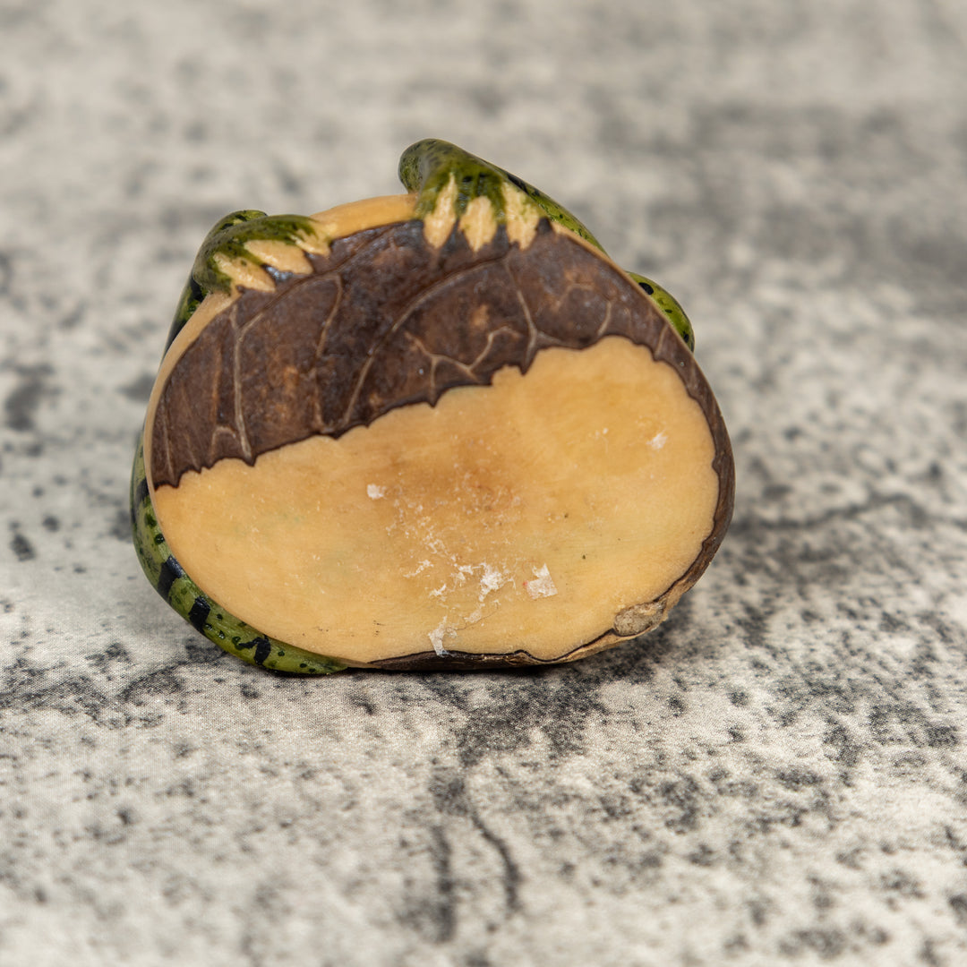 Vintage Iguana Lizard Tagua Carving