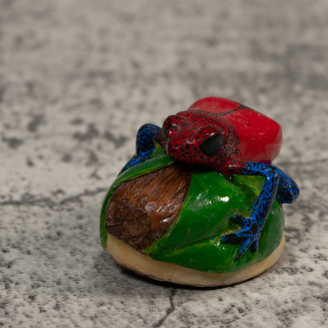 Red And Blue Poison Dart Frog Tagua Carving