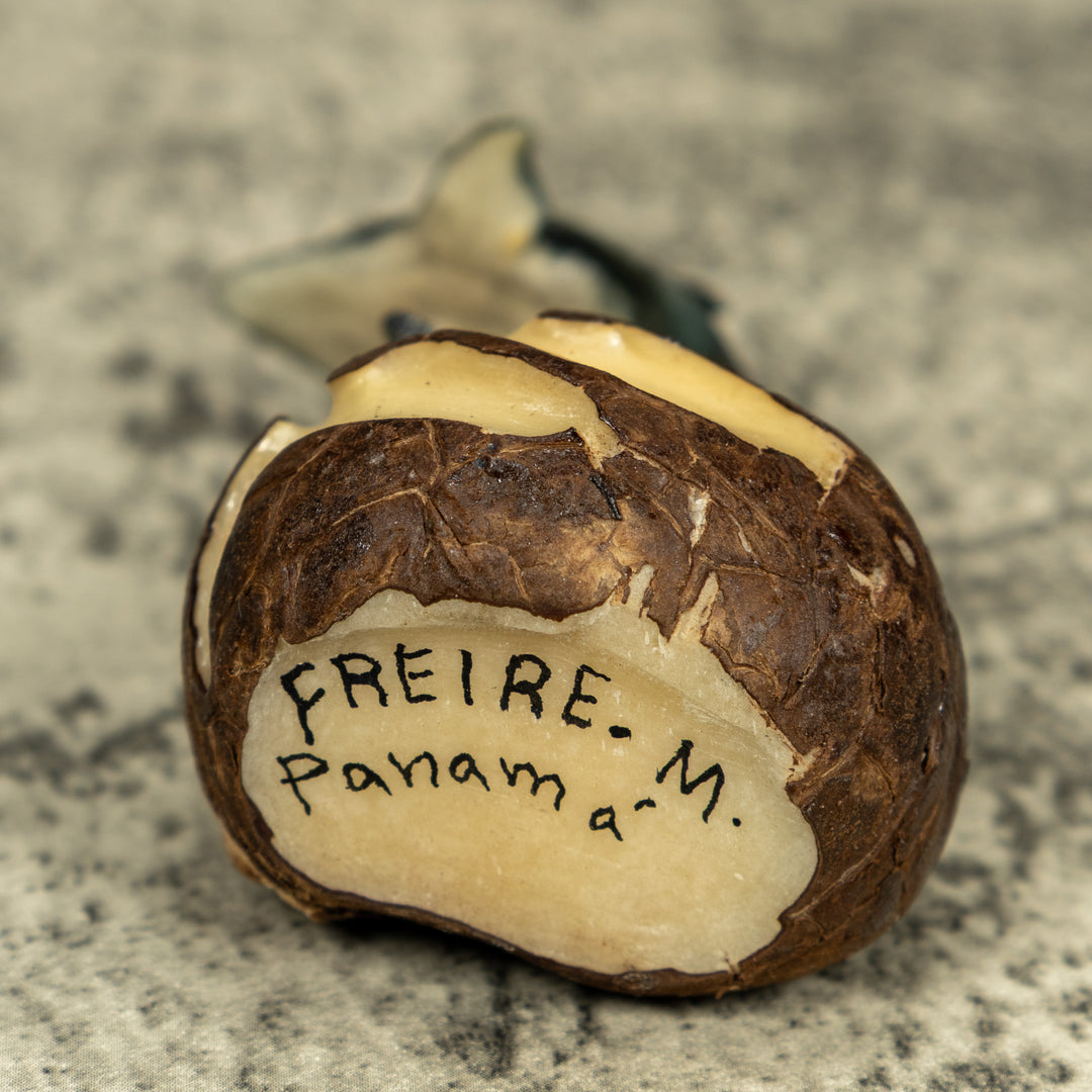 Gray Dolphin Riding Waves Tagua Carving