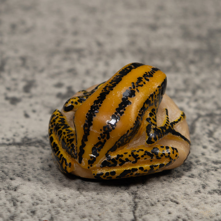 Vintage Yellow And Black Frog Tagua Carving