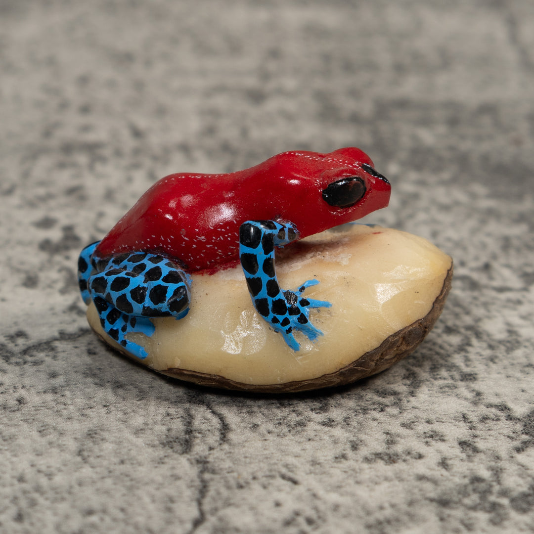 Red Blue And Black Poison Dart Frog Tagua Carving