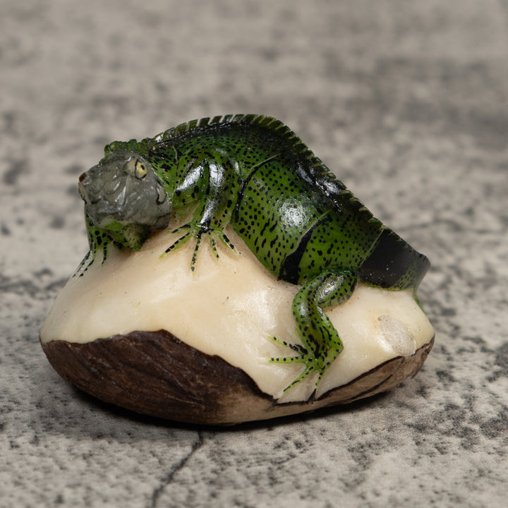 Green Iguana Lizard Tagua Carving