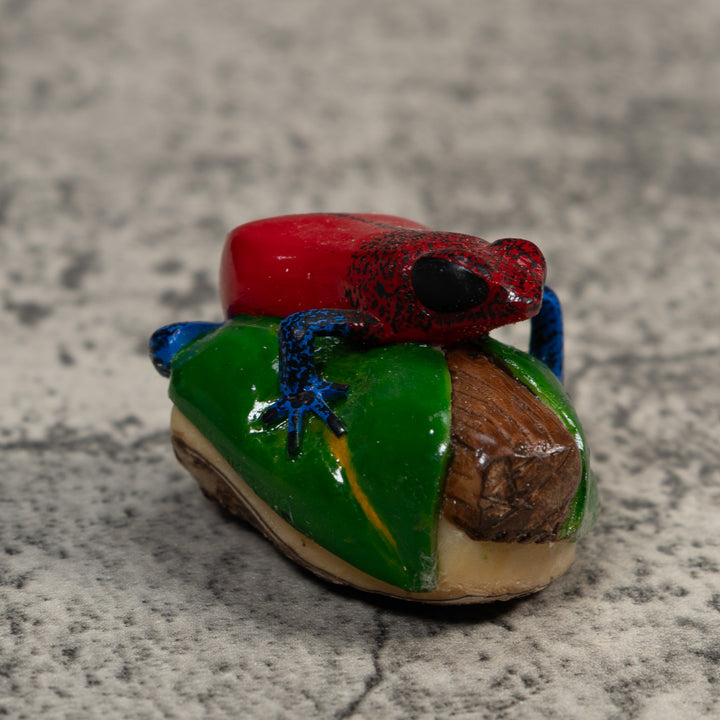 Red And Blue Poison Dart Frog Tagua Carving
