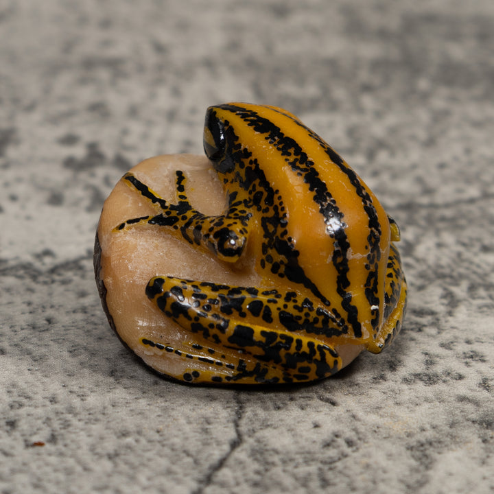 Vintage Yellow And Black Frog Tagua Carving