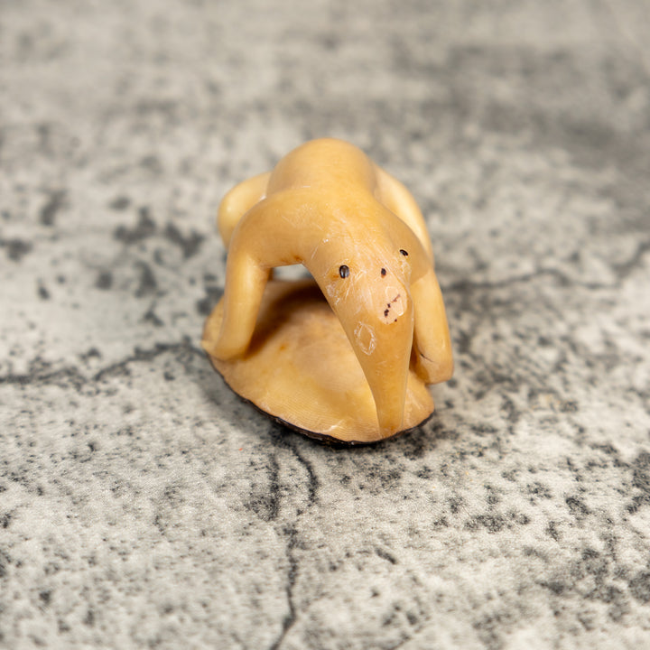 Natural White Anteater Tagua Carving