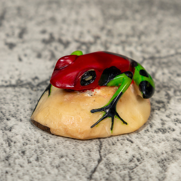 Red And Green Poison Dart Frog Tagua Carving