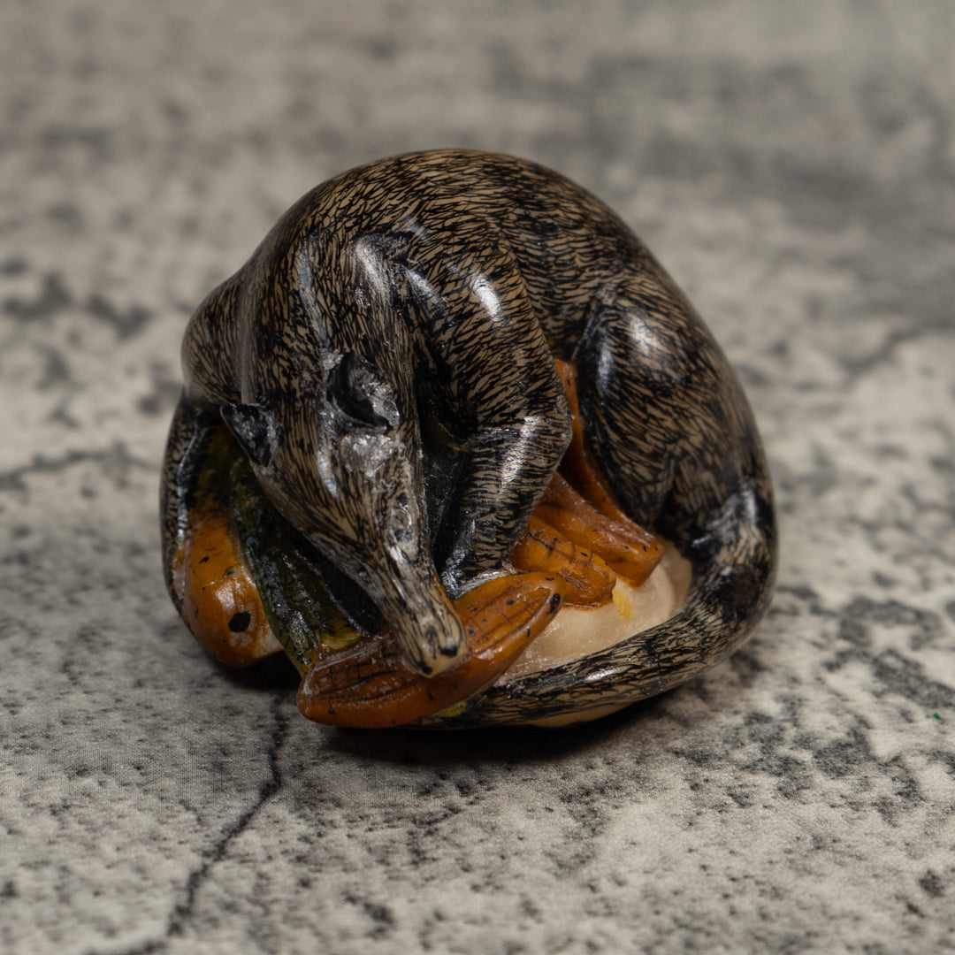 Vintage Black And Brown Coatimundi Tagua Carving
