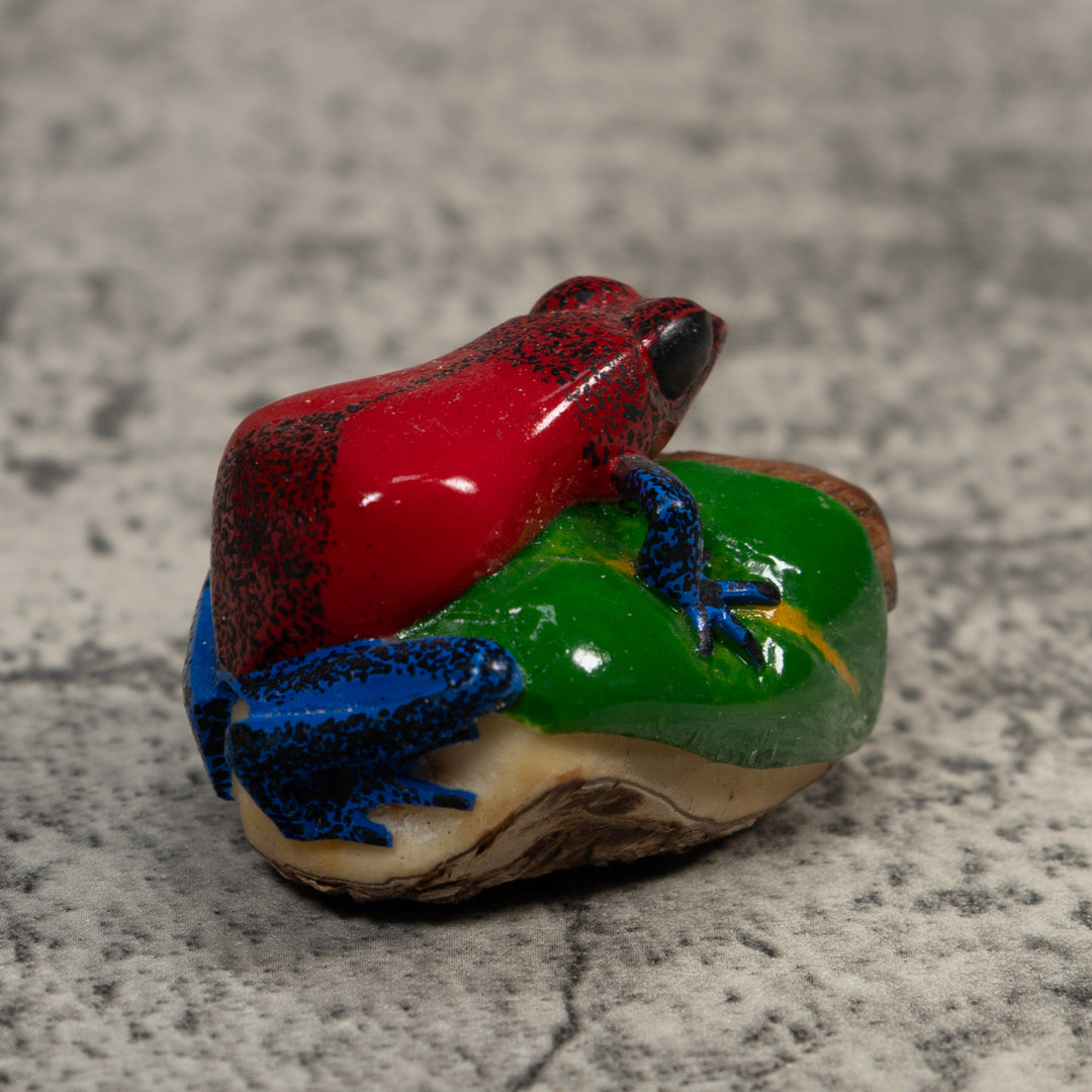 Red And Blue Poison Dart Frog Tagua Carving