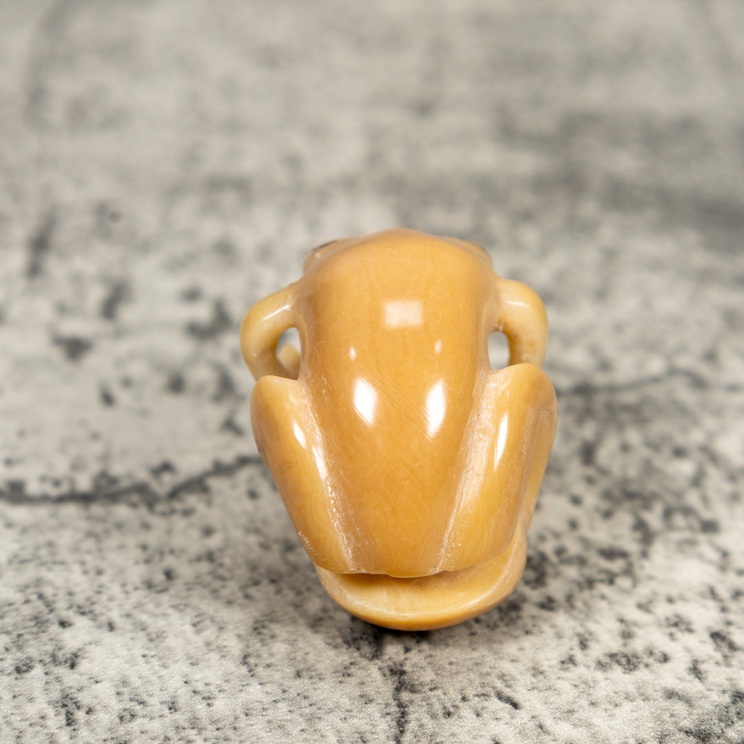 Natural White Toad Frog Tagua Carving