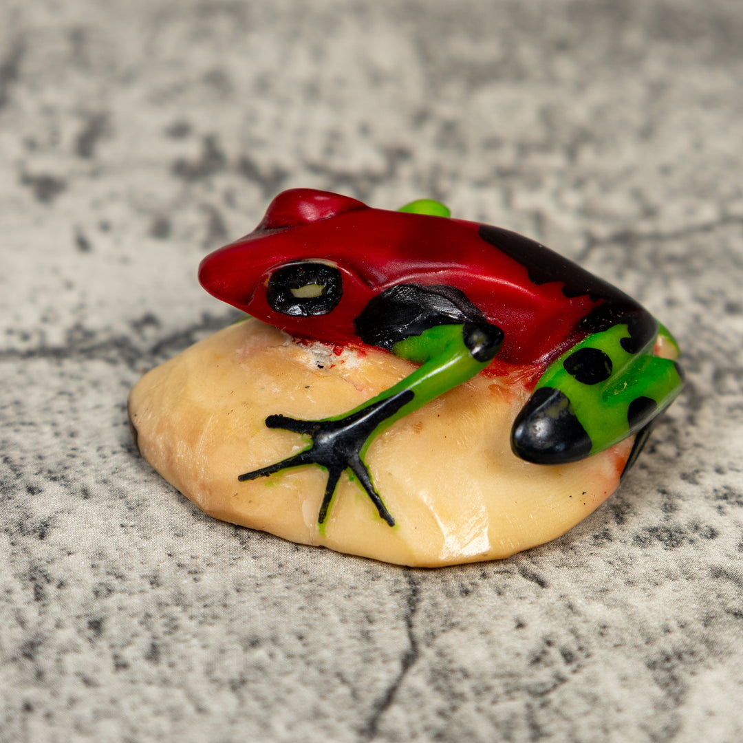 Red And Green Poison Dart Frog Tagua Carving