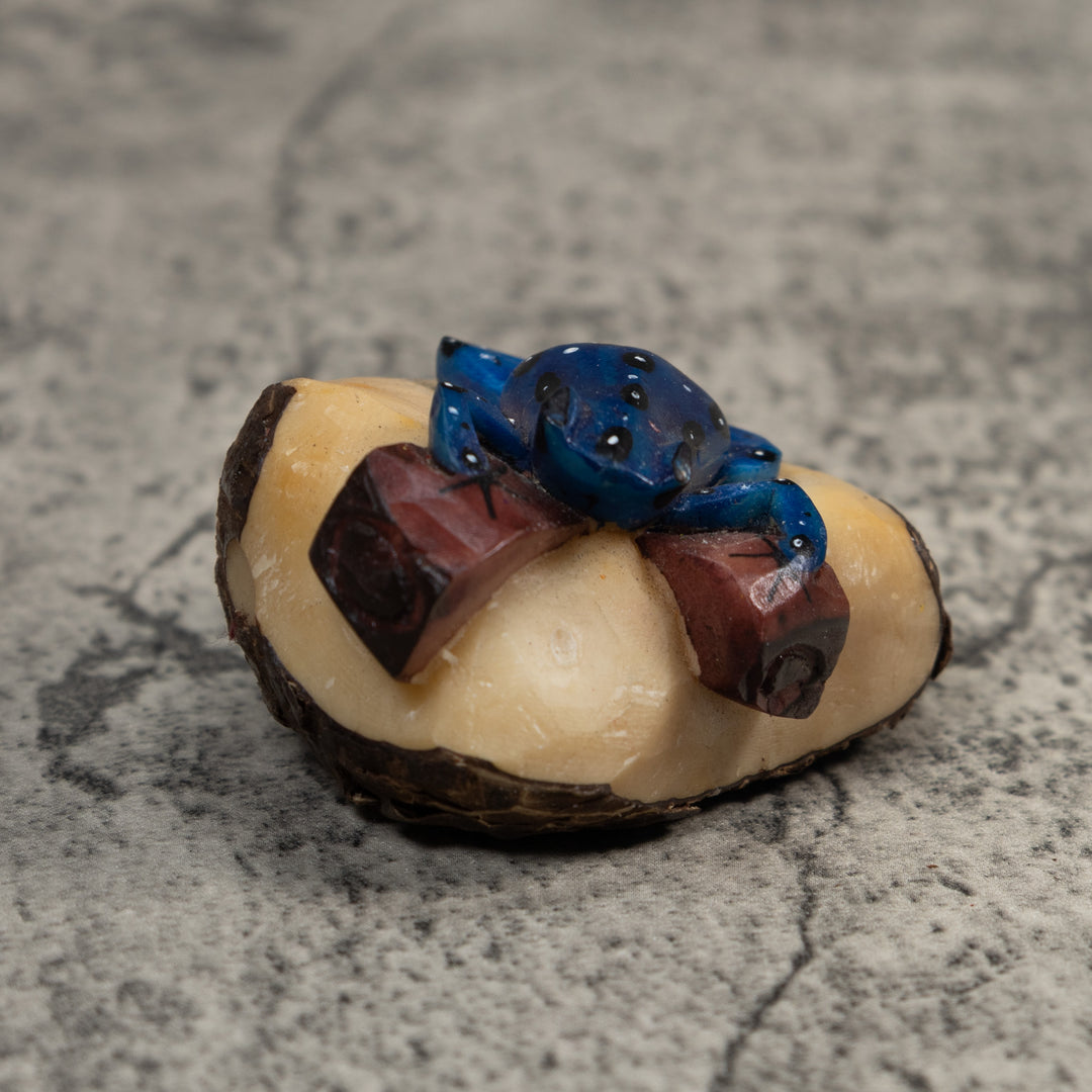Blue White And Brown Poison Dart Frog Tagua Carving