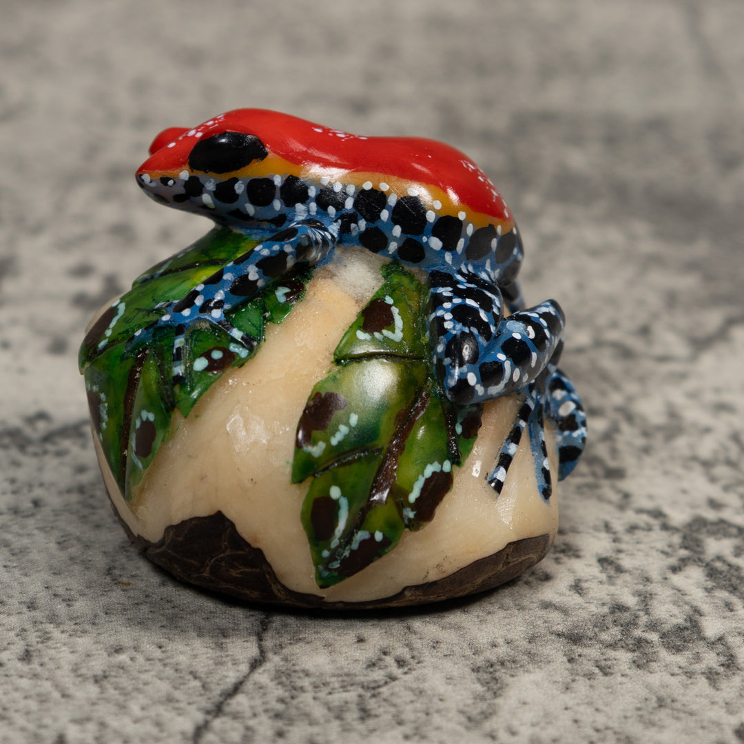 Red And Blue Poison Dart Frog Tagua Carving