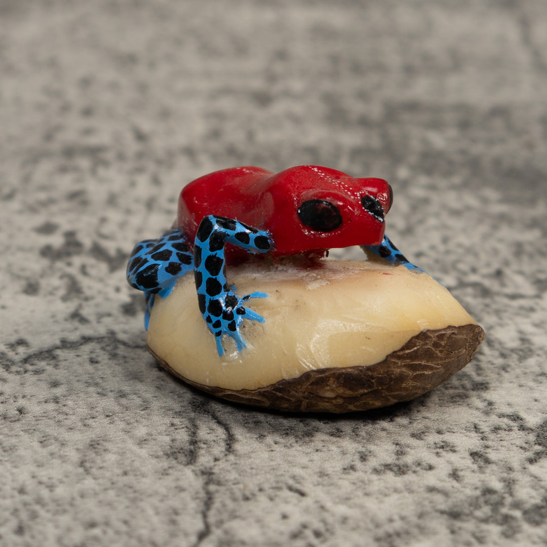 Red Blue And Black Poison Dart Frog Tagua Carving