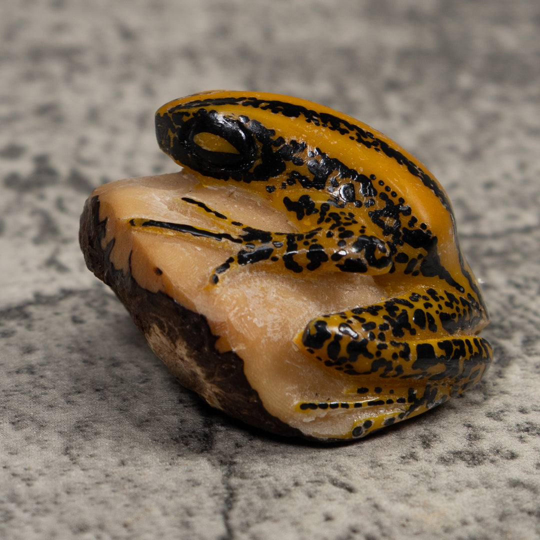Vintage Yellow And Black Frog Tagua Carving