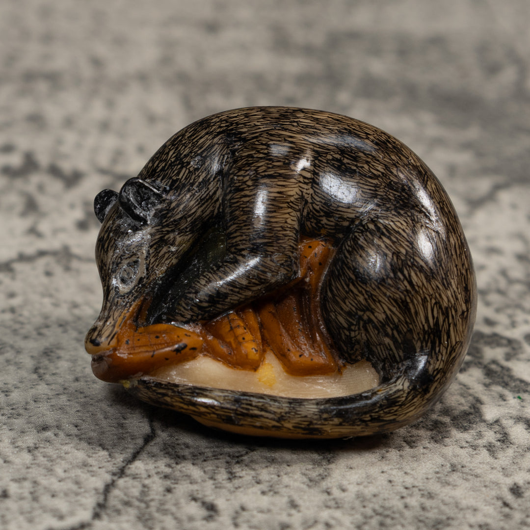 Vintage Black And Brown Coatimundi Tagua Carving