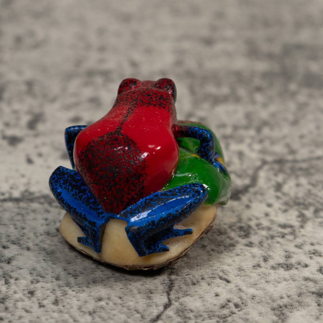 Red And Blue Poison Dart Frog Tagua Carving
