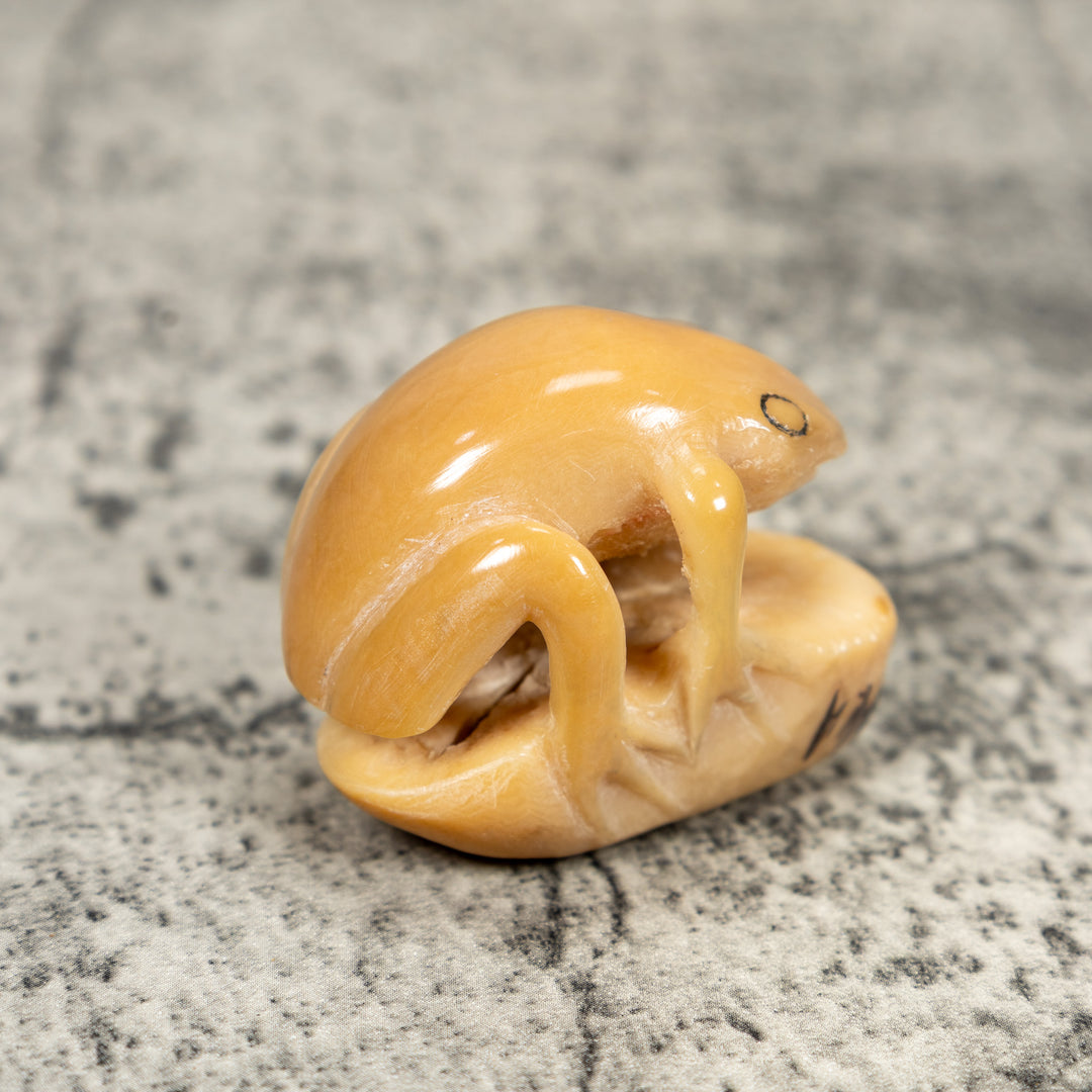 Natural White Toad Frog Tagua Carving
