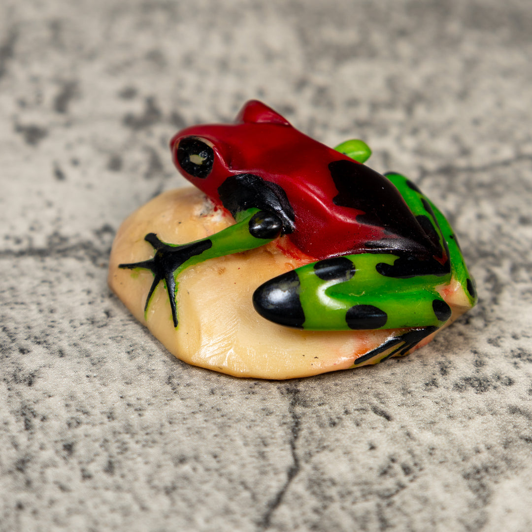 Red And Green Poison Dart Frog Tagua Carving