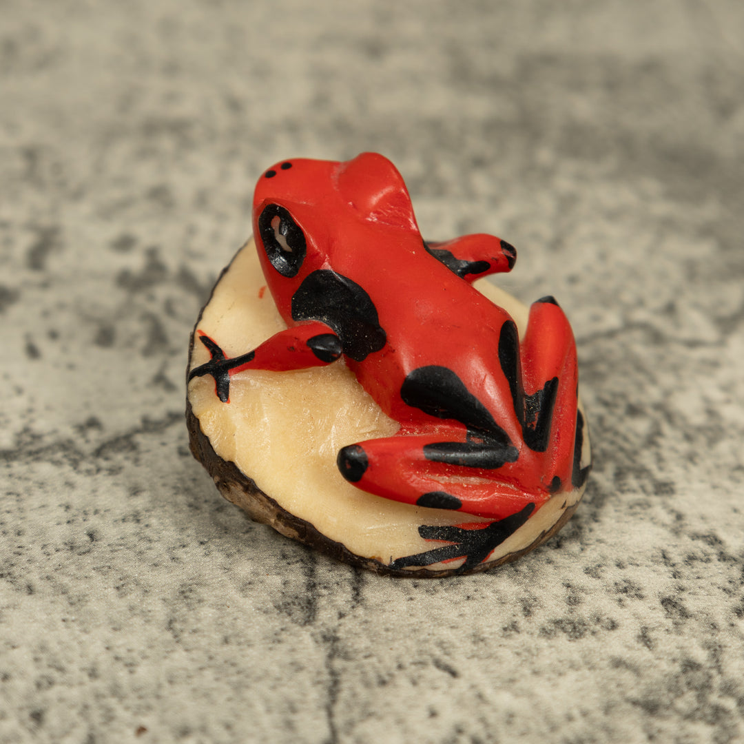 Vintage Red And Black Poison Dart Frog Tagua Carving