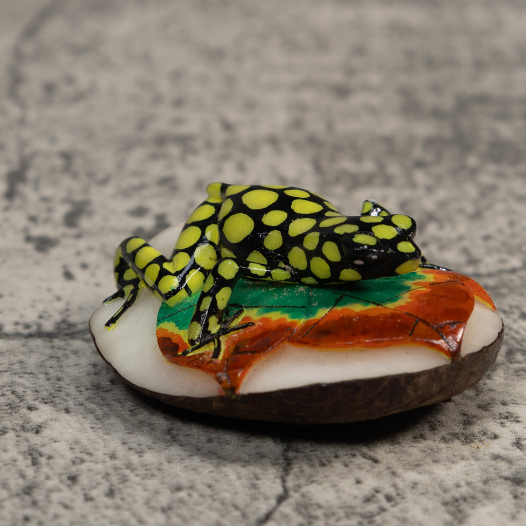 Black And Yellow Poison Dart Frog Tagua Carving