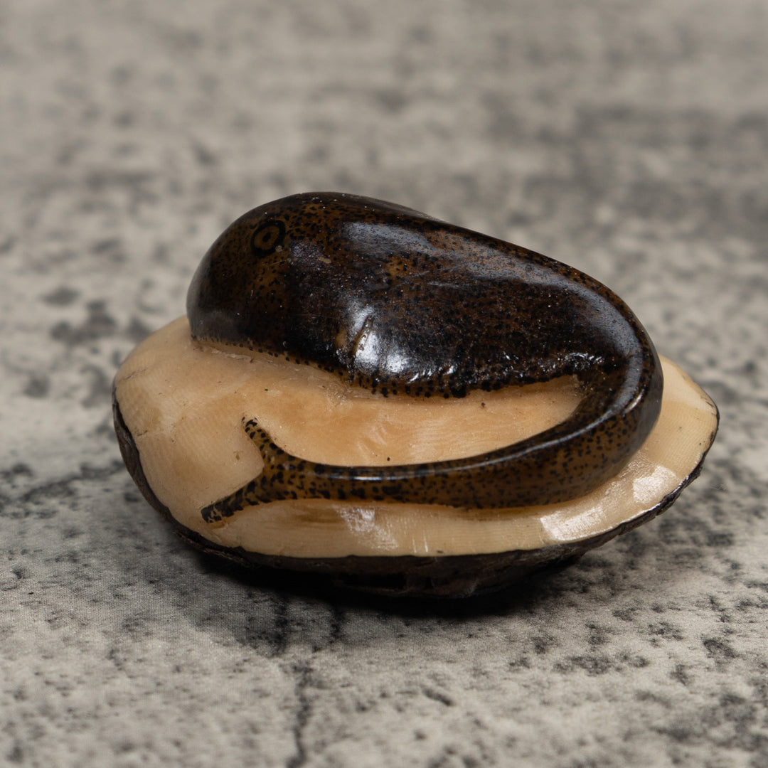 Brown Ocean Stingray Tagua Carving
