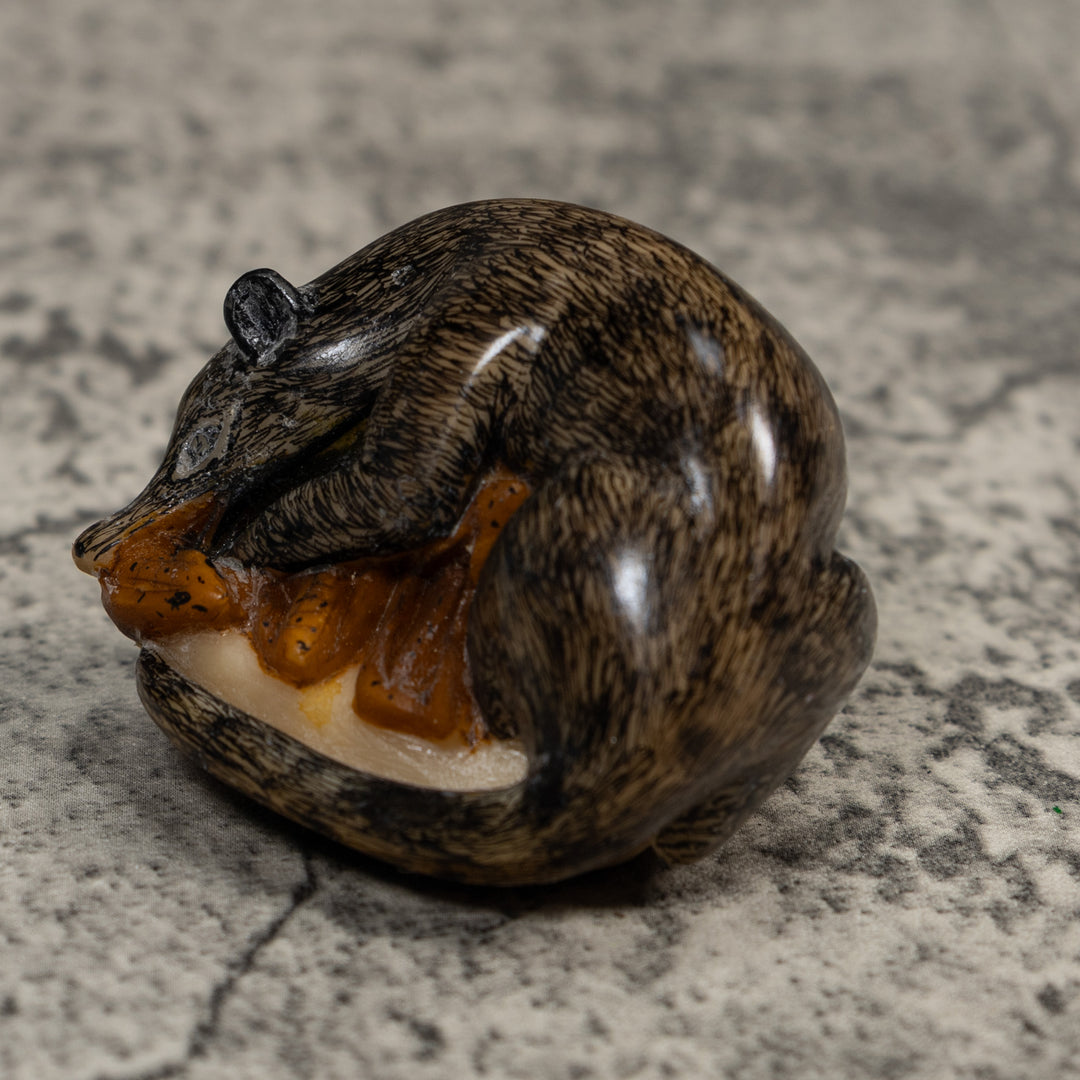 Vintage Black And Brown Coatimundi Tagua Carving