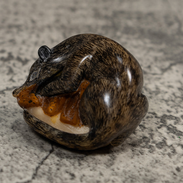 Vintage Black And Brown Coatimundi Tagua Carving