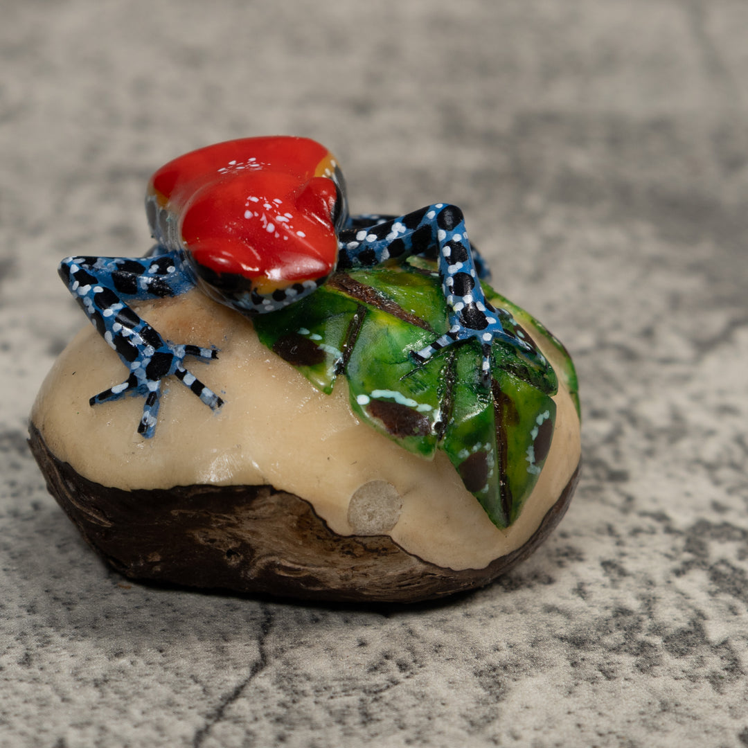 Red And Blue Poison Dart Frog Tagua Carving