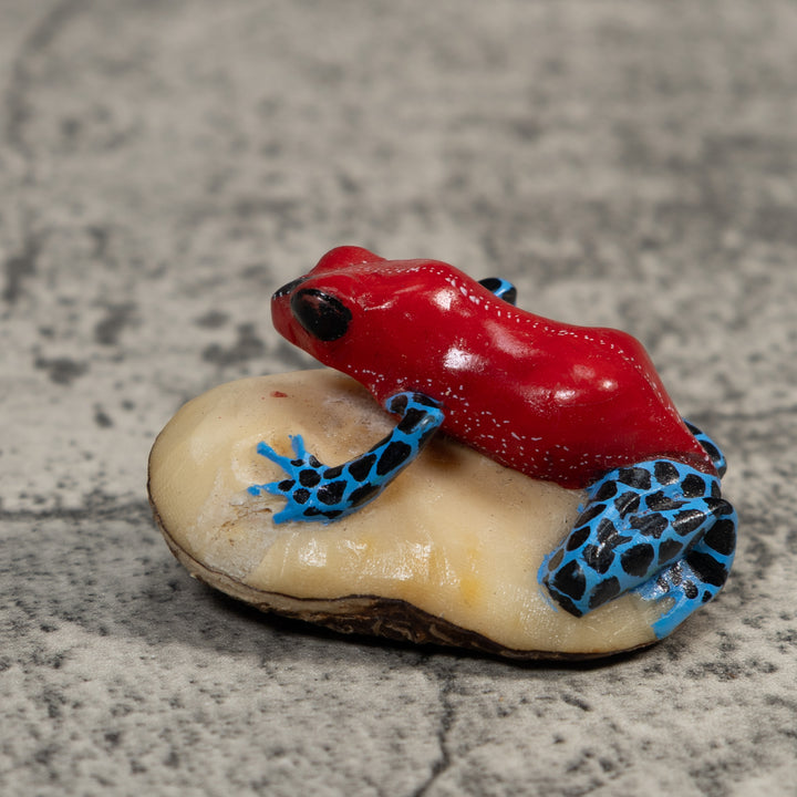 Red Blue And Black Poison Dart Frog Tagua Carving