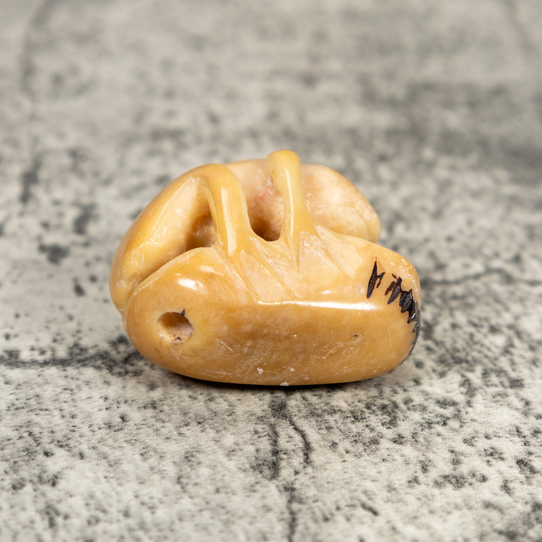 Natural White Toad Frog Tagua Carving