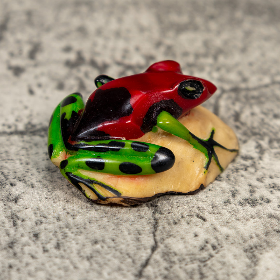 Red And Green Poison Dart Frog Tagua Carving