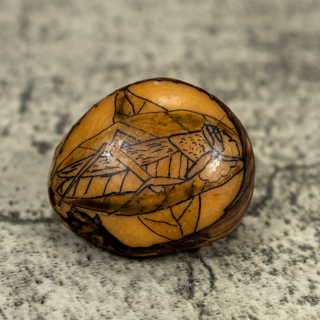 Vintage Grabado (Etched) Grasshopper Tagua Carving