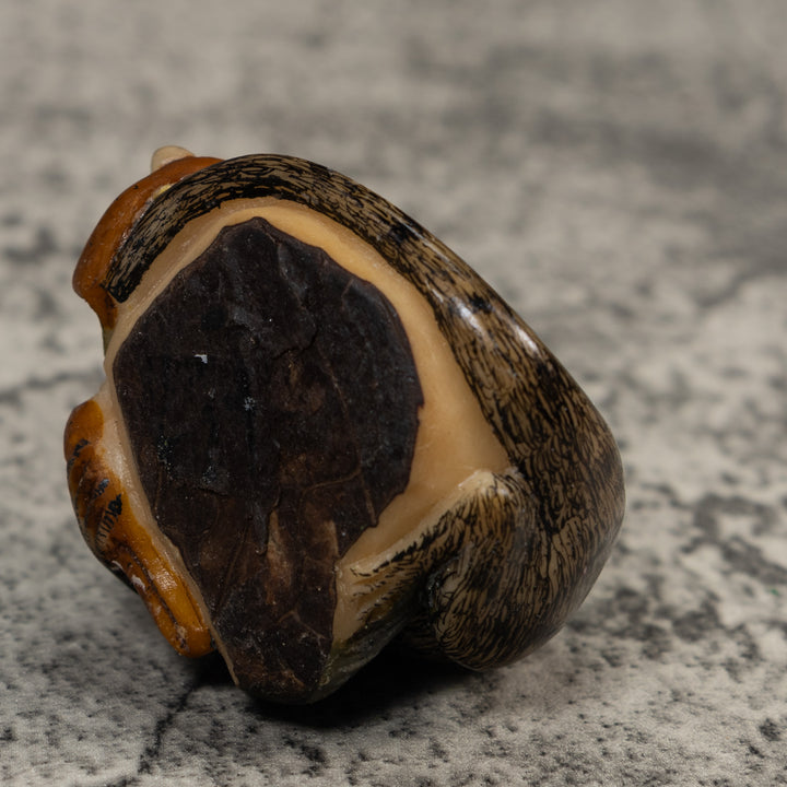 Vintage Black And Brown Coatimundi Tagua Carving