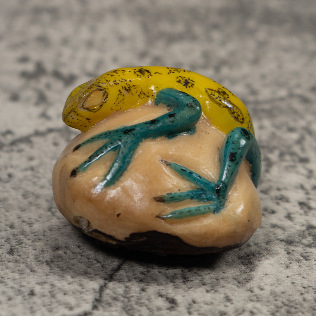 Vintage Green And Yellow Frog Tagua Carving