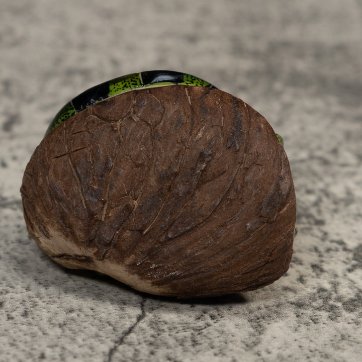 Green Iguana Lizard Tagua Carving