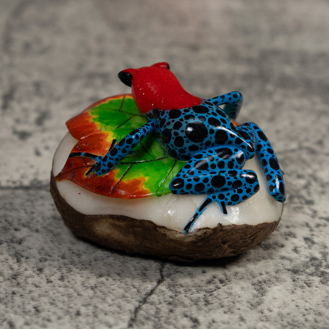 Red And Blue Poison Dart Frog Tagua Carving